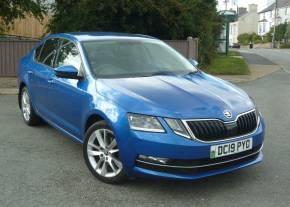SKODA OCTAVIA 2019 (19) at Regent Garage Criccieth
